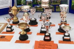 trophies