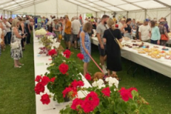 marquee-e1767009660136
