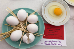 PBSP8994-e1573333333271